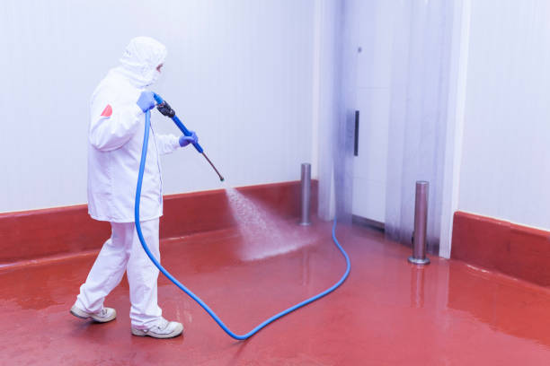 Best Pre-Holiday Cleaning  in Lake Kerr, FL